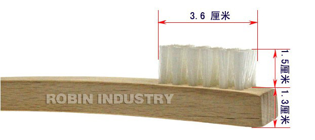 Scouring shoe brush